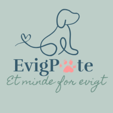 EvigPote